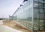 Insulated Aluminium Profile 10m Agricultural Greenhouse