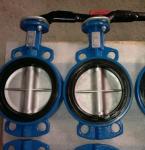Metal Lever Cast Iron Body Wafer End Type Dn50 Butterfly Valve