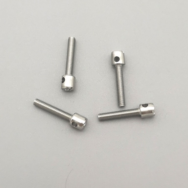 SS304 Cross Hole Meter Screw, Stainless Steel Smart Power Electric Meter Sealing Screw For Energy Meter
