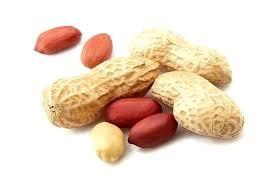 Quality Peanuts Organic Sprouted Nuts Crispy Flavor Safe Raw Material Free From Frying wholesale