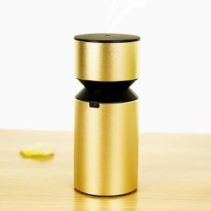 Battery Powered No Water Ultrasonic Scent Nebulizer