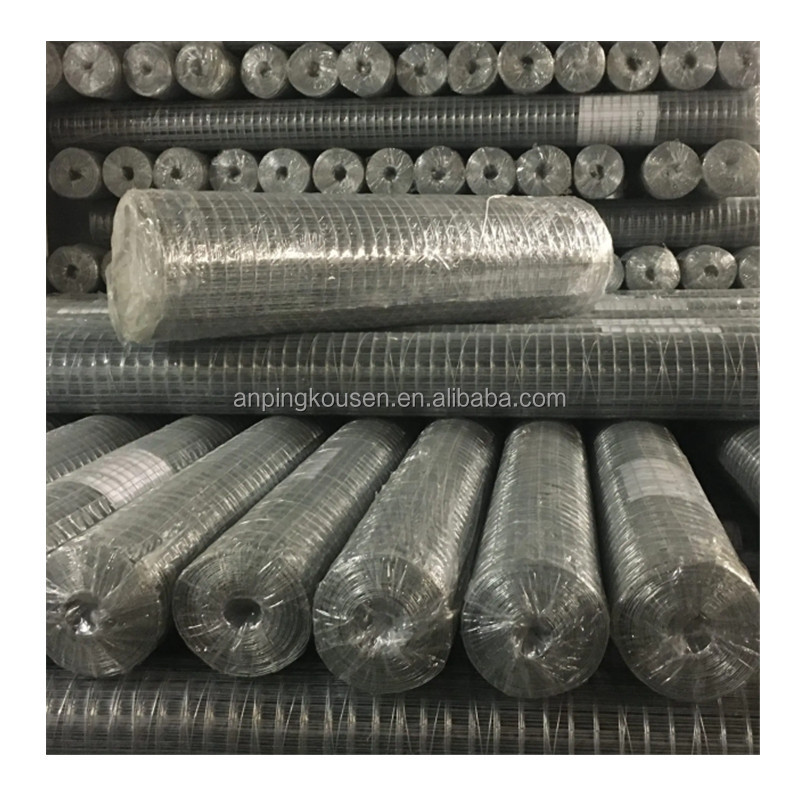 0.4-2.5m Width 1/4 Inch Hot Dipped Galvanized Welded Wire Mesh with 2-5mm Wire Gauge