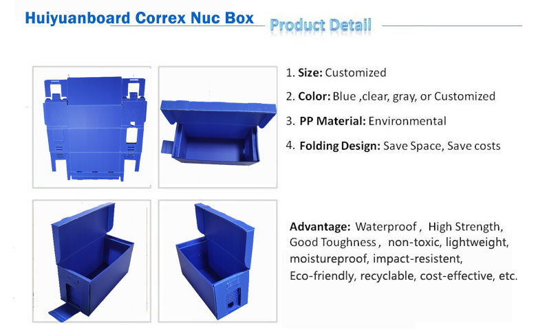 Blue Non Toxic Lightweight Corrugated Plastic Nuc Box