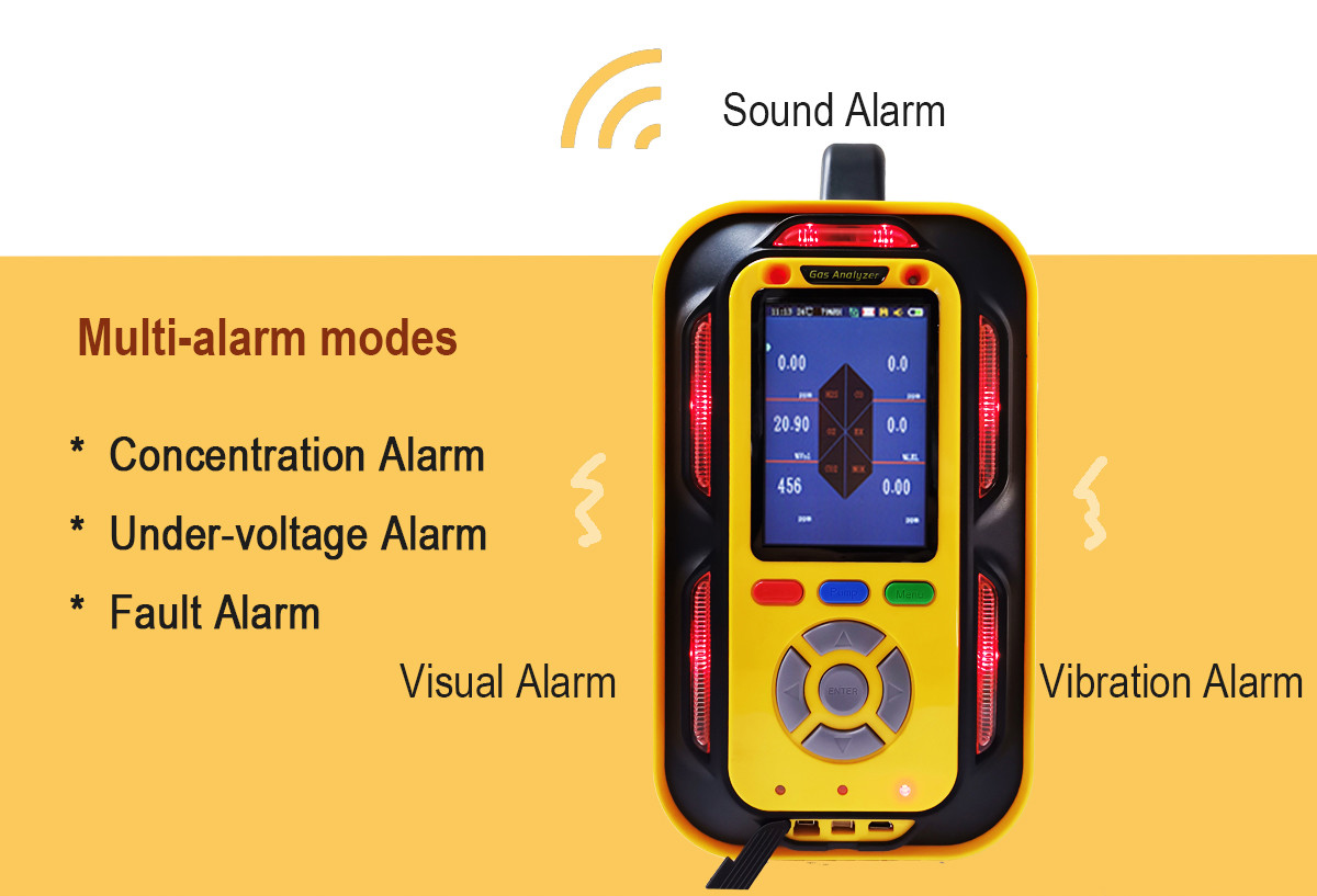 Ptm600-BIO Portable Gas Detector Landfill CO2 CH4 O2 H2s Co H2 Biogas Analyzer