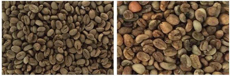 Grain Color Sorter Machine Rice Sorting Machines Sesame Sorting Machine