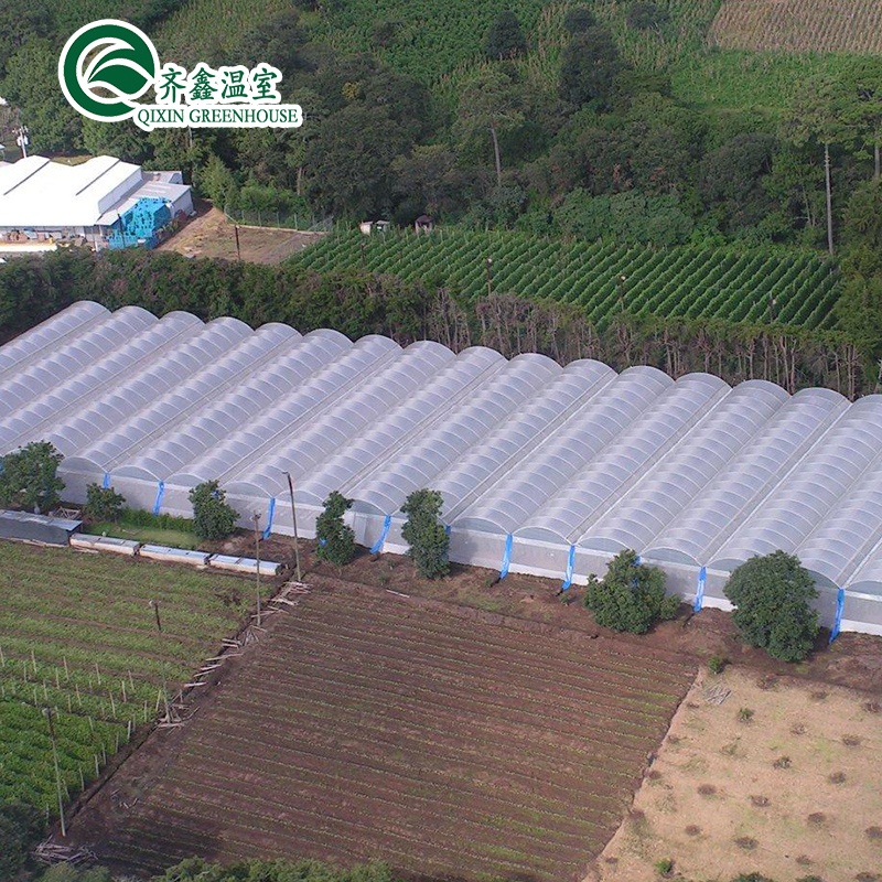 Inside Shading System Mushroom Greenhouse Equipment for Vegetable Fruits and Flowers