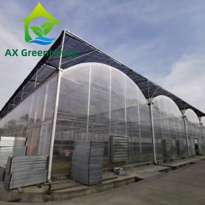 Quality Strawberries Plastic Film Greenhouse wholesale