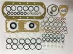 2417010002 Diesel Fuel Injection Pump Rebuild Kit
