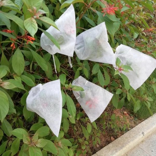 Spunbonde Non Woven 120GSM Fabric Fruit Protection Bags