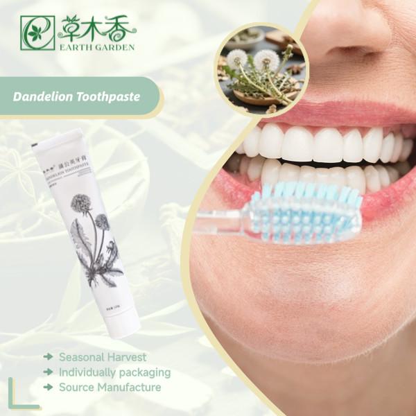 Chinese Herbal Gum Antibacterial Botanical Toothpaste SLS Fights Plaque