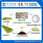 Auto Sugarcane Plate Making Machine Fiber Raw Material For Paper Lid