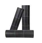 PP High Tensile Strength 70GSM-400GSM Woven Geotextile for Blueberry Garden Weed