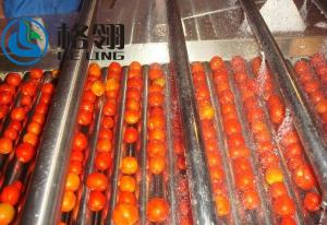 Quality Customized 316l Automatic Tomato Paste Production Line 1-100ton Juice Production Line wholesale