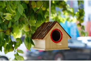 Quality Fortune Paulownia Wooden Bird Nesting Box Wooden Crafts Supplies wholesale