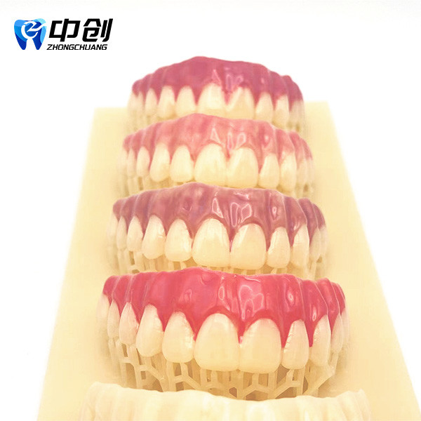 Highly Radiopaque Pink Opaque 4 Color Aesthetic Resin for Professional Natural Restoration