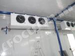 Camara de Frio Solar para Alimentos con Paneles Solares de 300w*16 y Inversor de