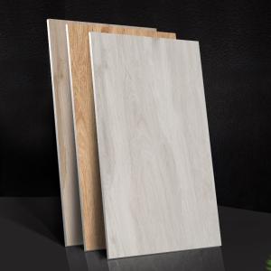 Quality Outdoor Polished Porcelain Floor Tiles Glazed Matt Finish wholesale