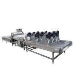 300-1000kg/h Vegetables Fruit Washing Machine 304 Stainless Steel