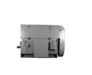 Quality YKK 4503-2 HV Industrial Three Phase AC Motor 710kW 83.5A wholesale