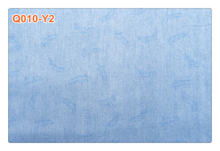 Q010-Y2 1.jpg