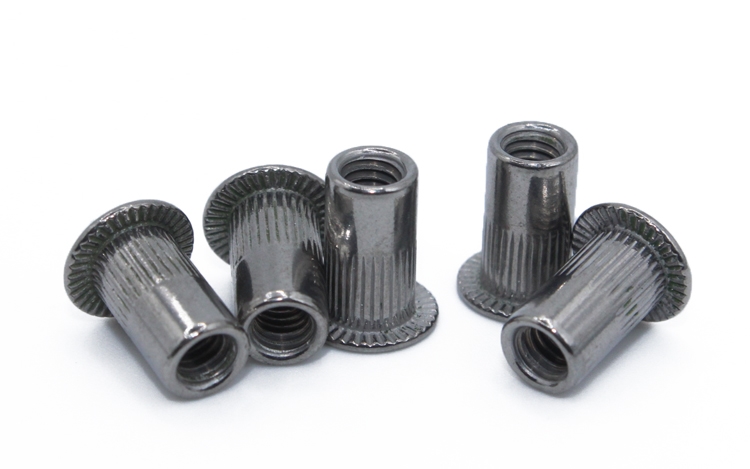 ISO Standard Galvanized Stainless Steel Blind Rivet Insert Screws with Bright Finish