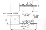 Stainless Steel SGS 6000BPH Semi Automatic Bottle Filling Machine
