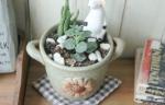 Succulent Creative Sun Flower Plant Flowerpots