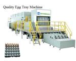Small Packaging Waste Carton Recycling Machine 80kw Pulp Molding