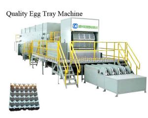 Quality Small Packaging Waste Carton Recycling Machine 80kw Pulp Molding wholesale