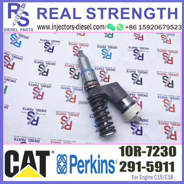Diesel Engine Parts fuel injector 291-5911 10R-7230 For CAT Caterpillar