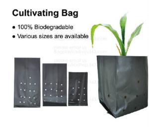 Quality Planter Bags, Grow Bags, Cultivating Bags, Nursery Pot, Greenhouse, Agricultural Film, Horticulture Garden wholesale