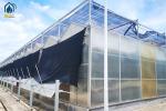 Custom Polycarbonate Greenhouses For Organic Farming And Commercial Use