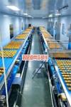 ISO 9000 Hygienic Independent Controlled Curved Belt Conveyor