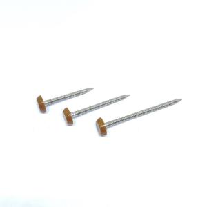 Quality A4 Stainless Steel Plastic Head Nails , RAL8003 Brown Annular Ring Shank wholesale