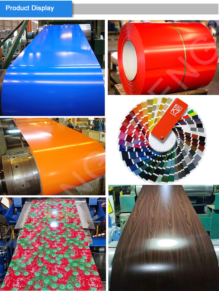 High Strength Galvanized Steel Color Coated Coil Pre Painted Hot Dip Galvanized Coated Steel Coil in White RAL Color