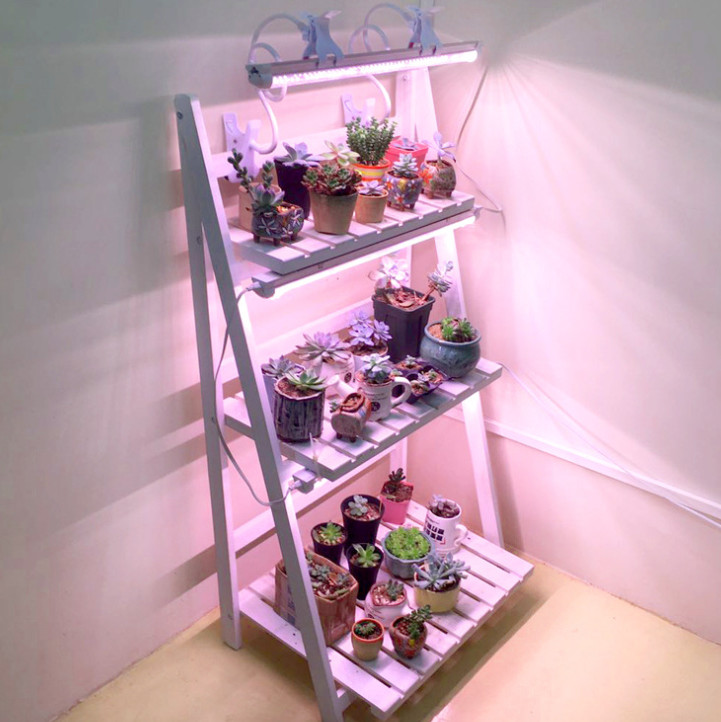 3W 3535 XPG Package 380nm LED Grow Light Chip