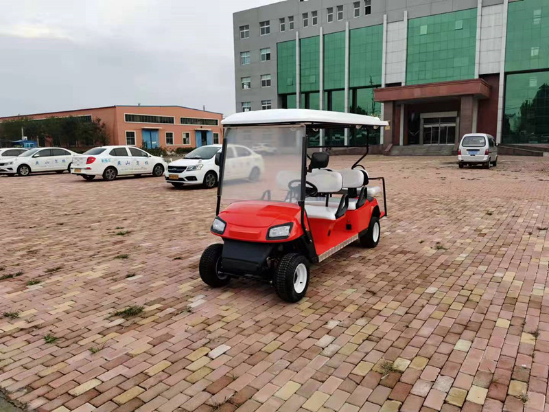 Left Hand Drive Electric Golf Buggy Lithium Battery Operated Golf Carts 2-10 Seats