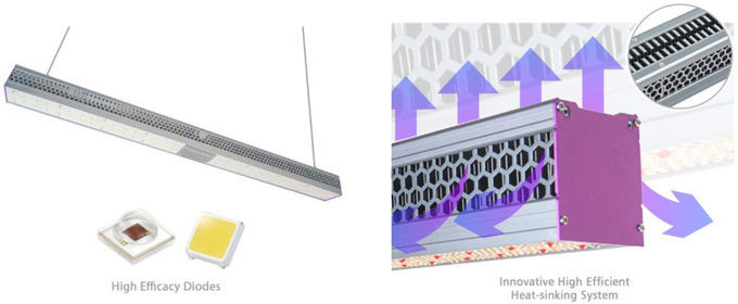 640W Red Greenhouse LED Grow Lights Customized Full Spectrum 660nm
