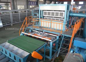 Quality Large Egg Tray Production Line Capacity 50000pcs Per Working Day wholesale
