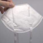 Earloop N95 Face Mask