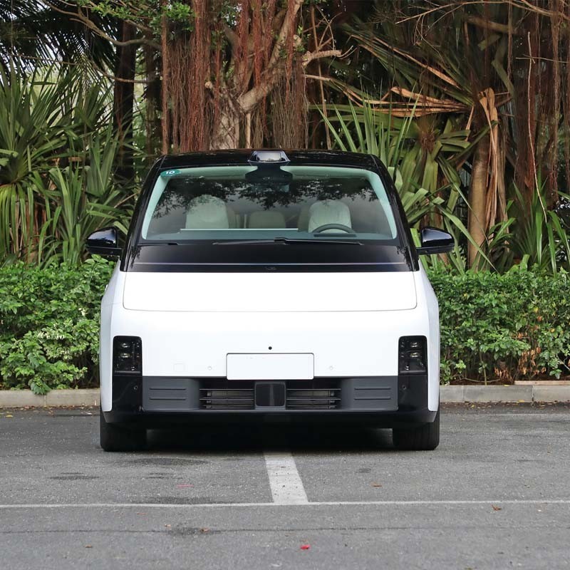 Lixiang Mega Vehicle Auto New Energy Car 7 Seat Luxury MPV