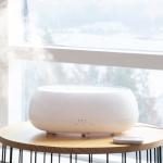 1L Ultrasonic Sprayer Air Humidifier Remote Control Air Humidifier Room Aroma
