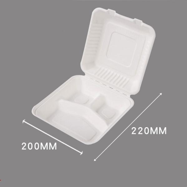 3 Compartment Sugarcane Bagasse Lunch Box Clamshell Containers For Camping