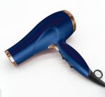 OEM Electric Professional Salon Hair Dryer For Commercial Hotel Household