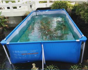 Quality Wholesale Pvc Fish Tank wholesale