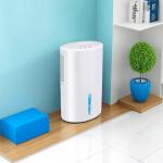 Household Dehumidification Air Dehumidifier Small Portable Dehumidifier