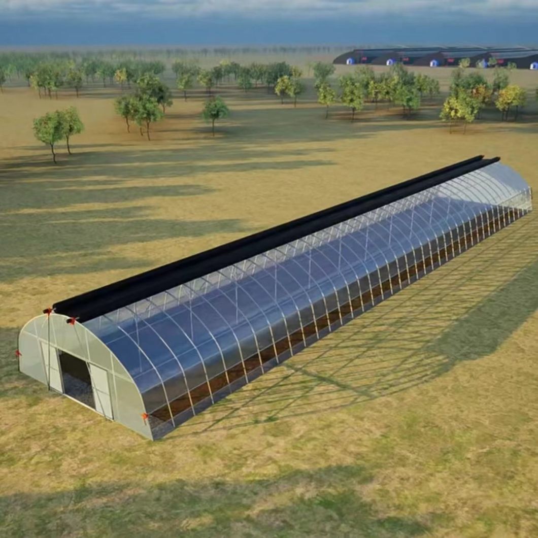Low Cost Hydroponic Tunnel Greenhouse for Agriculture
