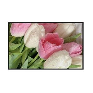 Quality 32 Inch Lcd Display Panel Sunlight Readable Outdoor Display Large wholesale