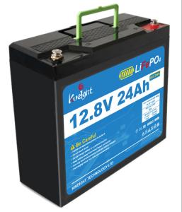 Quality Off Grid Power 12V LiFePO4 Battery Pack UPS EPS Backup Power Supply wholesale