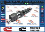 QSK23 QSK45 QSK60 Diesel Parts Common Rail Injector 4902828 4088428 4326780